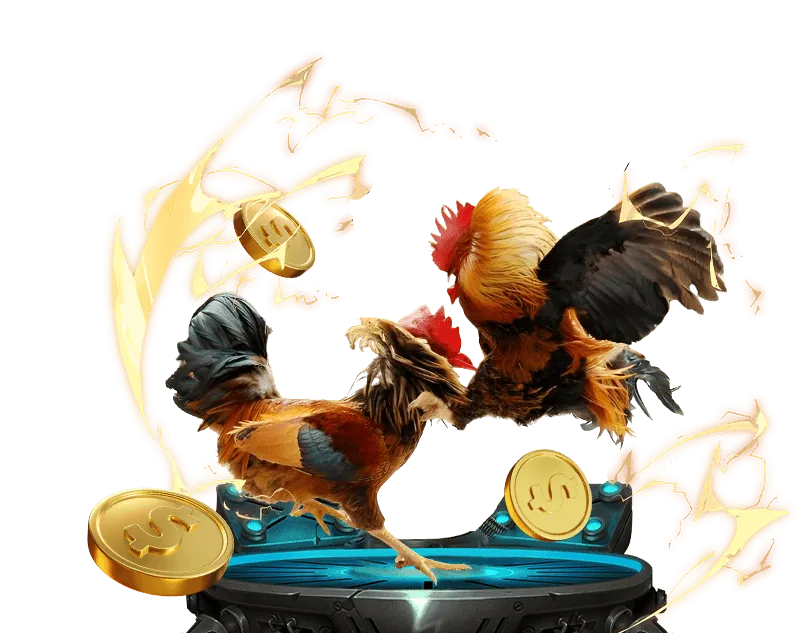 Hướng dẫn an toàn SV288